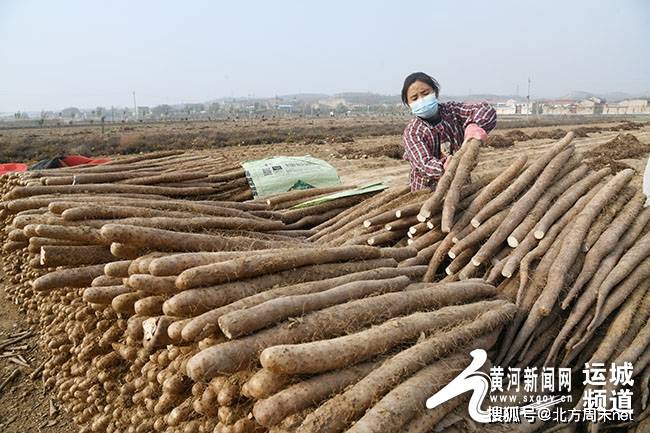 闻喜县东镇镇最新新闻报道综述