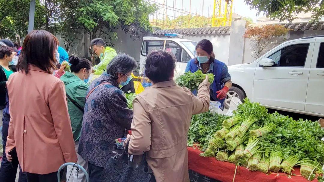 顺城区医疗保障局招聘信息发布与职业机遇深度探索