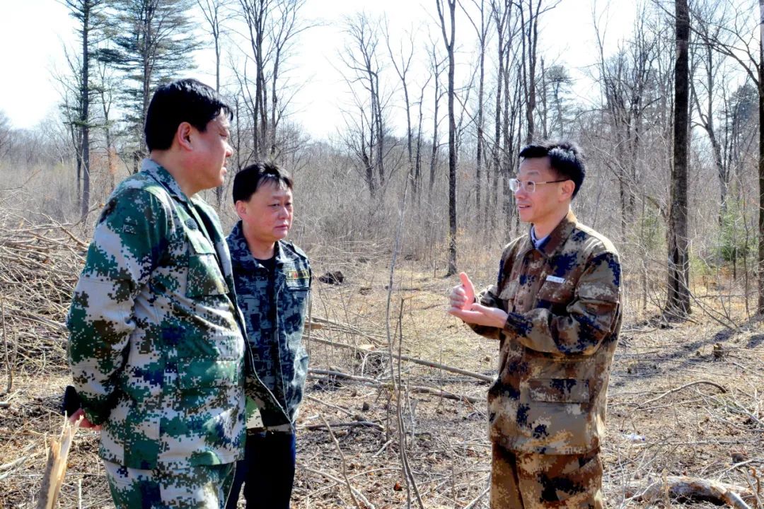 石头河林场领导团队引领未来发展新篇章