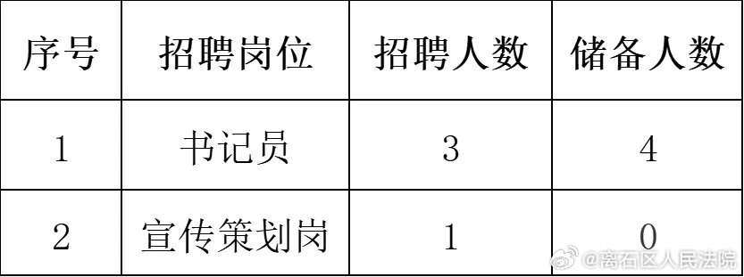 新密市统计局最新招聘启事概览