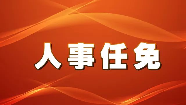 新电村人事任命动态深度解析