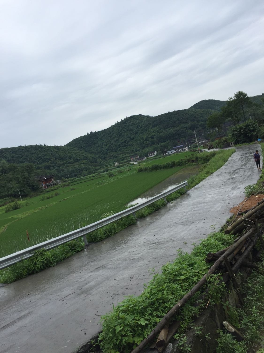 康禾镇天气预报更新通知