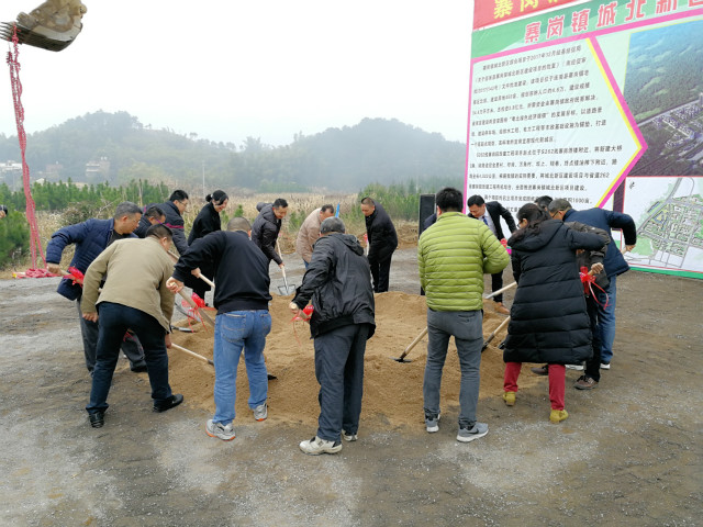 寨岗镇新项目，引领地区发展的强大动力源泉