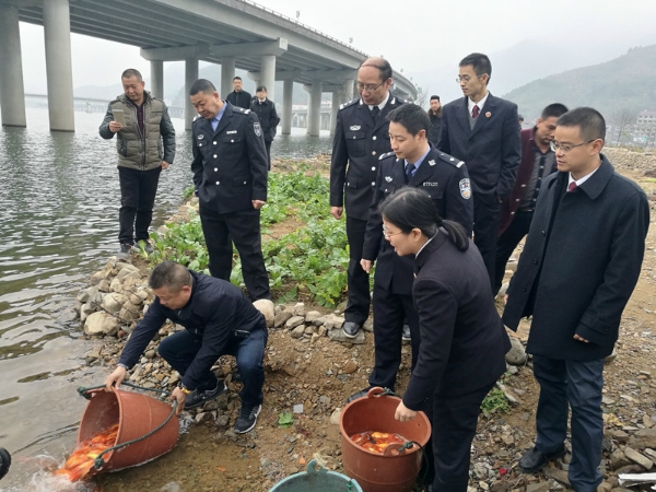 青田县公安局最新动态报道