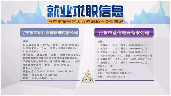 浔阳区人力资源和社会保障局最新招聘概览