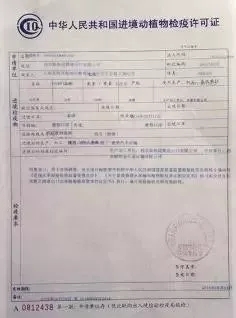 景洪市防疫检疫站人事调整，推动防疫工作迈向新高度