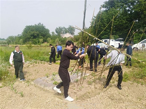 分路口镇领导团队最新阵容引领地方发展新征程