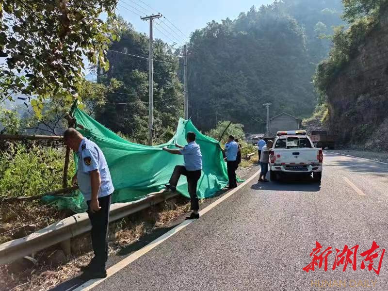 川岩乡交通新动态，迈向现代化交通体系的关键步伐