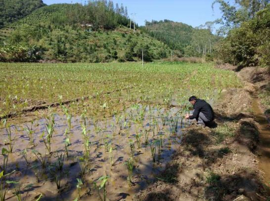 果加村新项目启动，乡村振兴新篇章