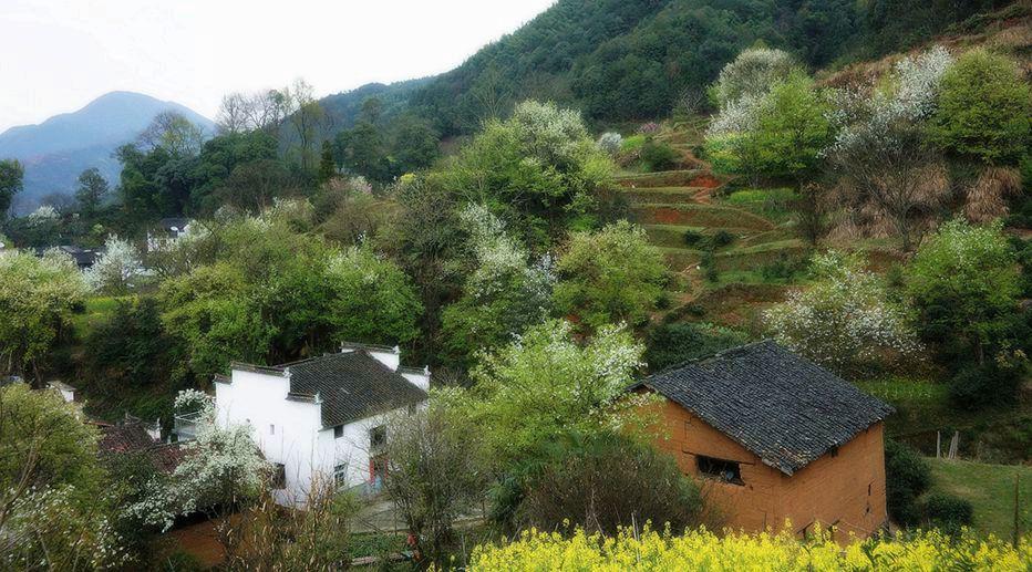 查村最新项目，引领乡村新浪潮发展之路